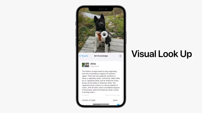Apples-Visual-Look-Up-is-modeled-after-Google-Lens